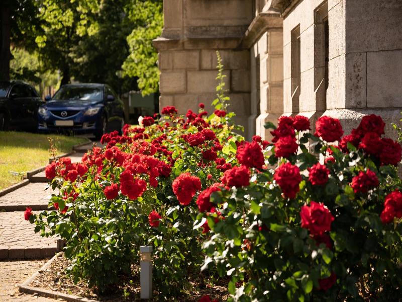 Schlosshotel Zum Markgrafen image