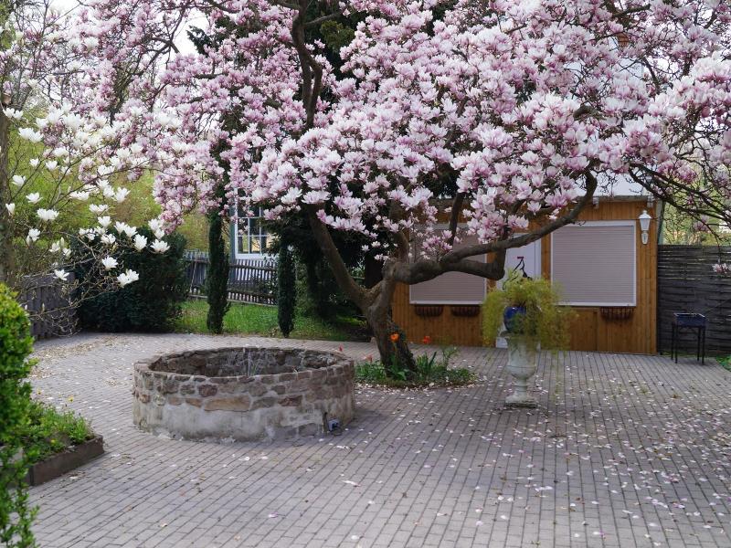 Am Kurpark image