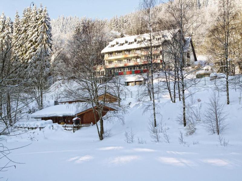 Waldhaus am See image