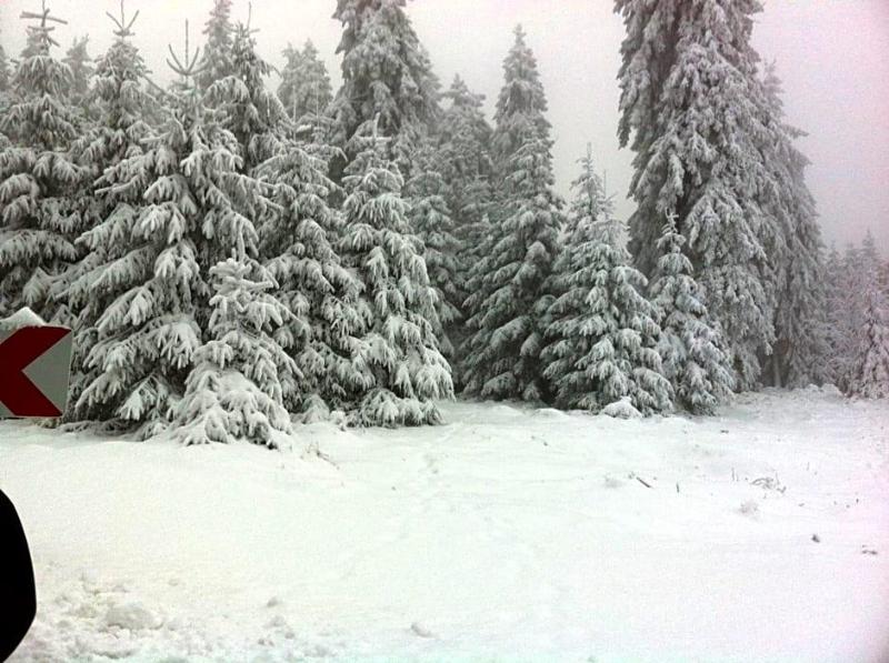 Am Wald image