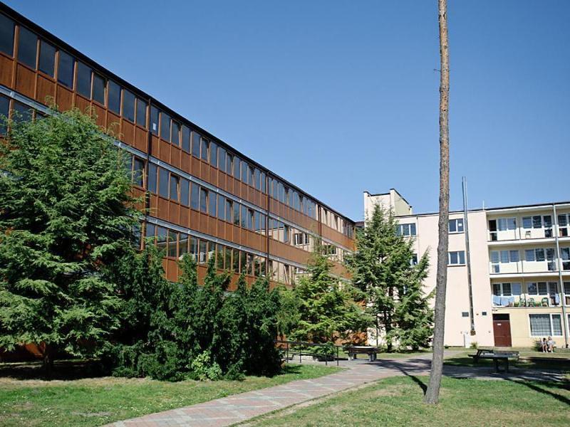 Famasta image