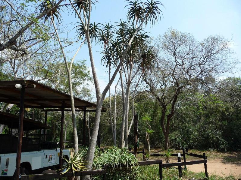 Isinkwe Backpackers Bushcamp