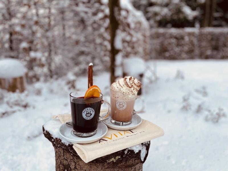 AVITAL Resort Winterberg image