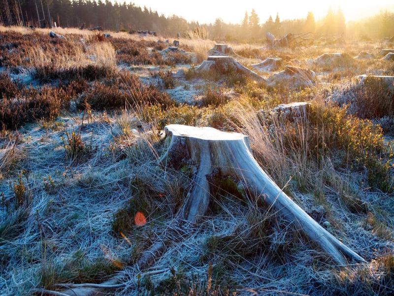 AVITAL Resort Winterberg image