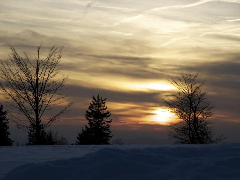 AVITAL Resort Winterberg image