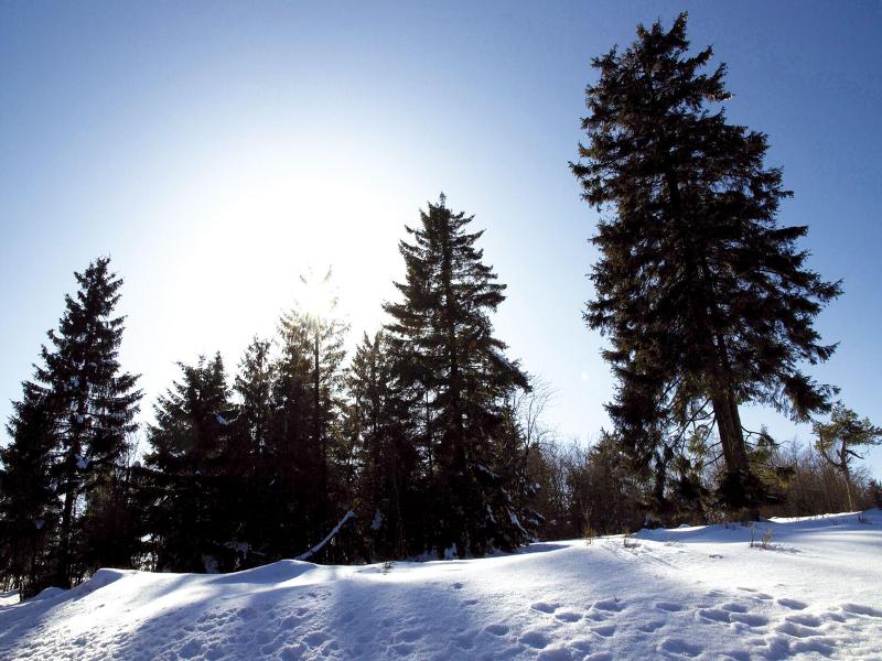AVITAL Resort Winterberg image