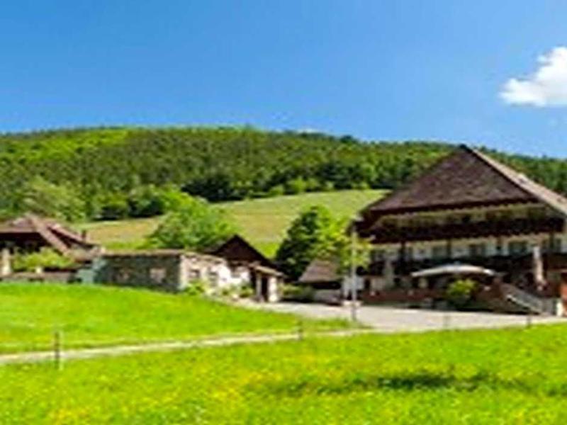 Landgasthaus Grüner Baum image