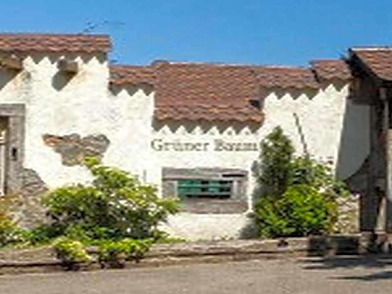 Landgasthaus Grüner Baum image