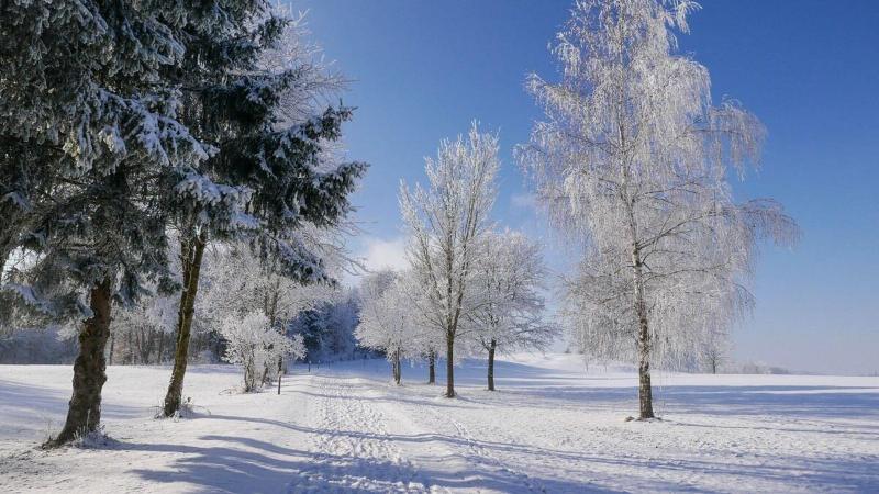 Golf & Vitalpark Bad Waldsee image