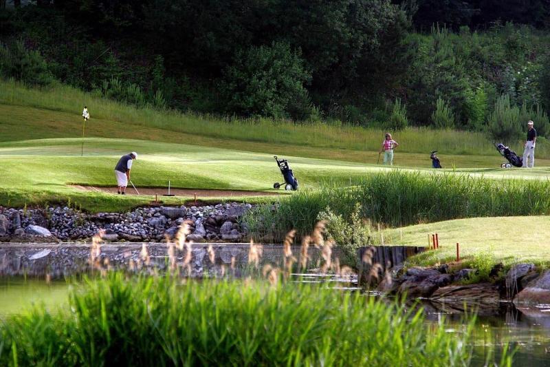 Golf & Vitalpark Bad Waldsee image