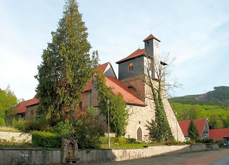 Kurpark im Ilsetal image