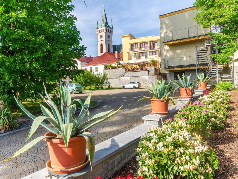 Kotyza image