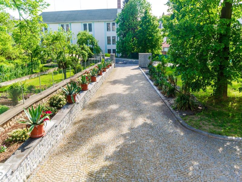 Kotyza image