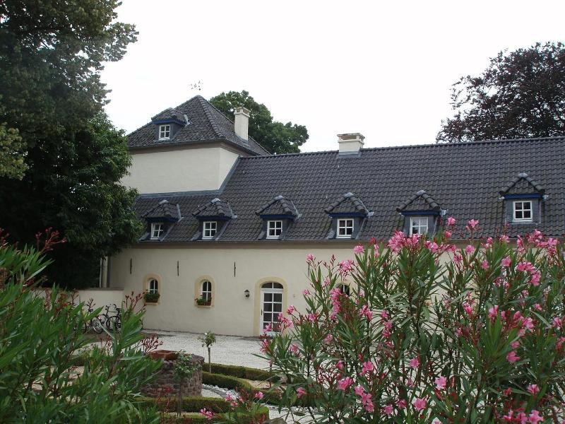 Burg Boetzelaer image