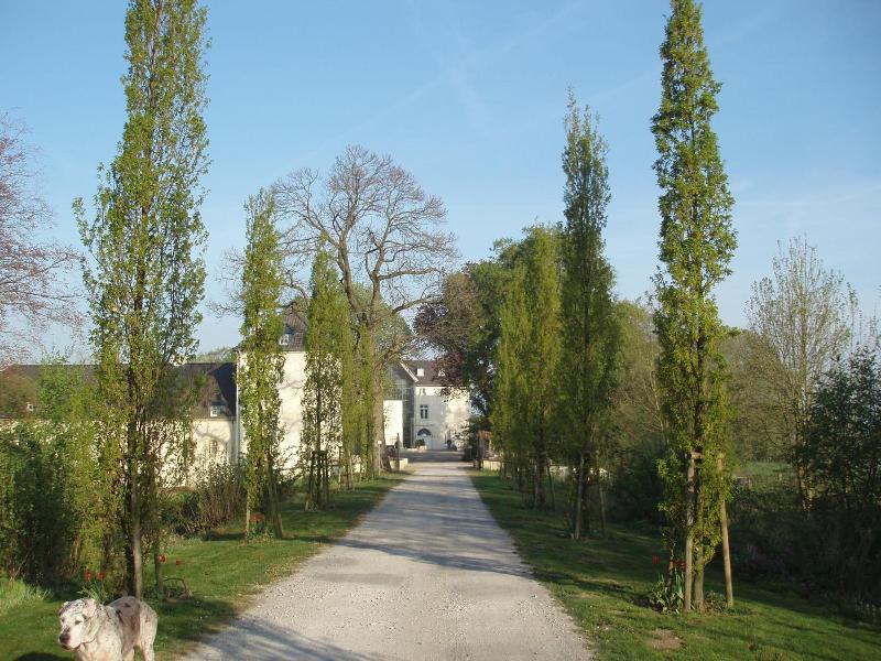 Burg Boetzelaer image