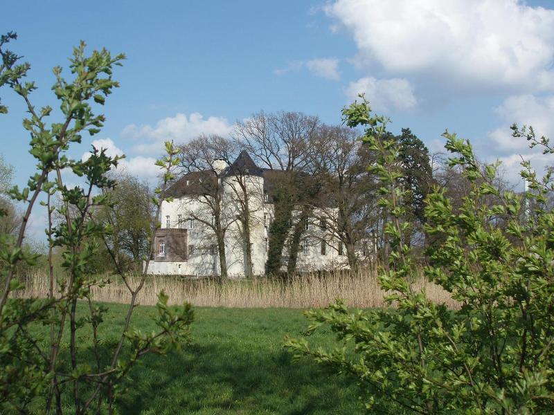 Burg Boetzelaer image
