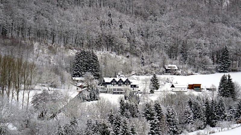 WaldSchinkenwirt image