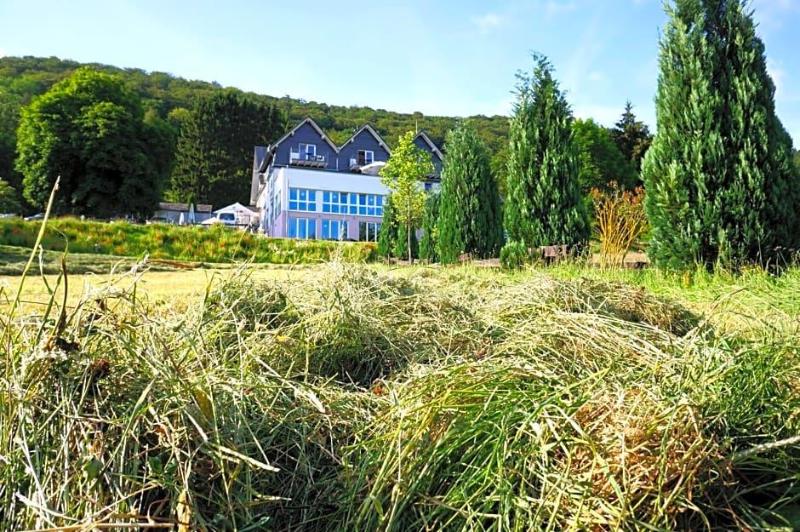 WaldSchinkenwirt image