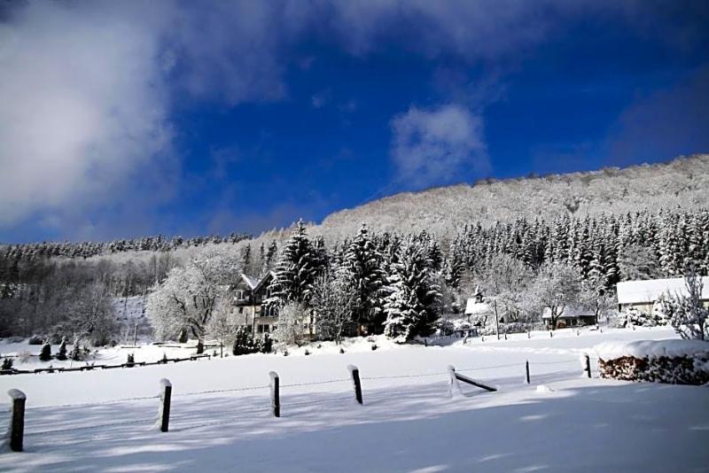 WaldSchinkenwirt image