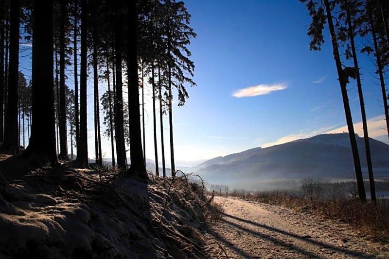 WaldSchinkenwirt image