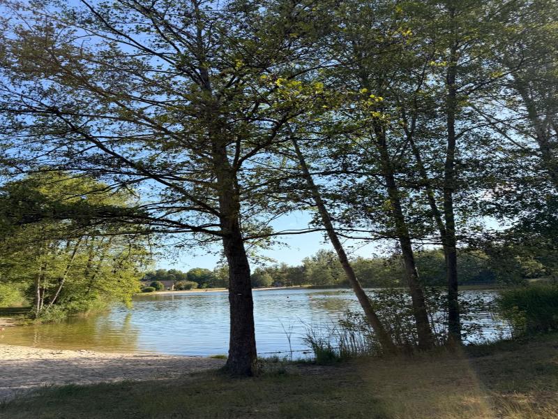 Seehotel Burg image