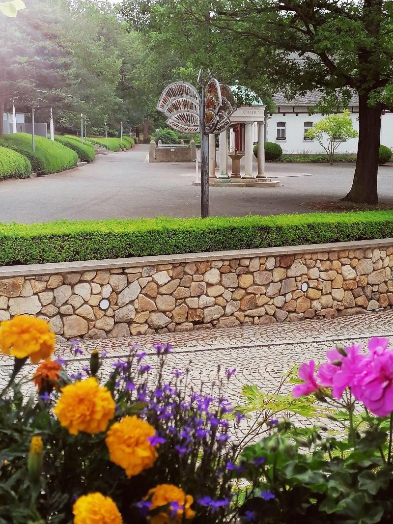 Kurhotel Bad Suderode image