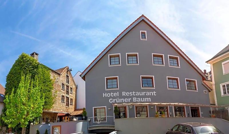 Grüner Baum image