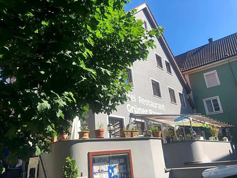 Grüner Baum image