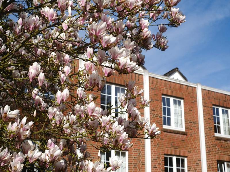 Parkhotel Rosarium image