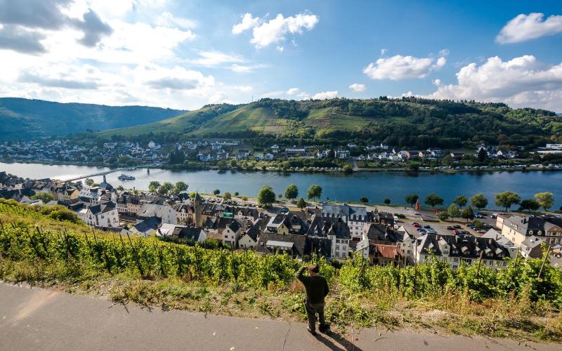 Zum grünen Kranz image