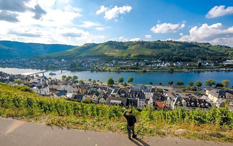 Zum grünen Kranz image