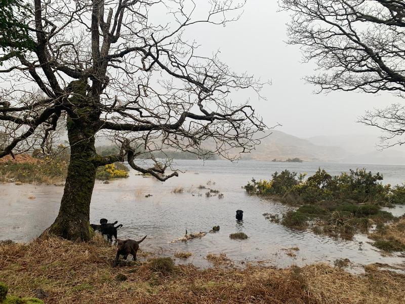 Cillcearn image