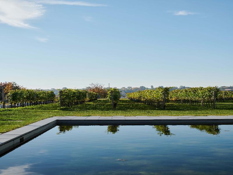LOISIUM Wine & Spa Resort Langenlois 4