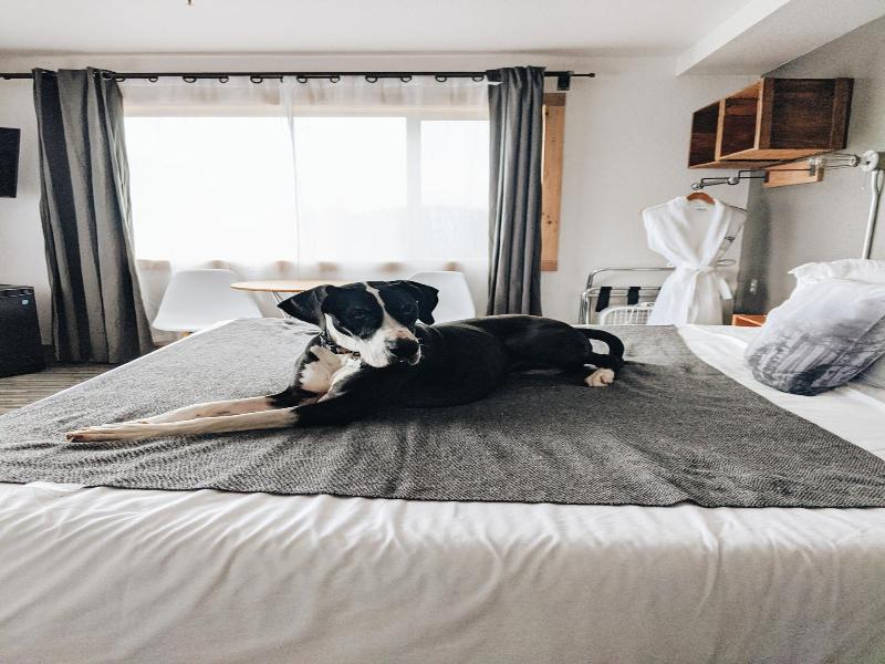 Adrift Hotel image