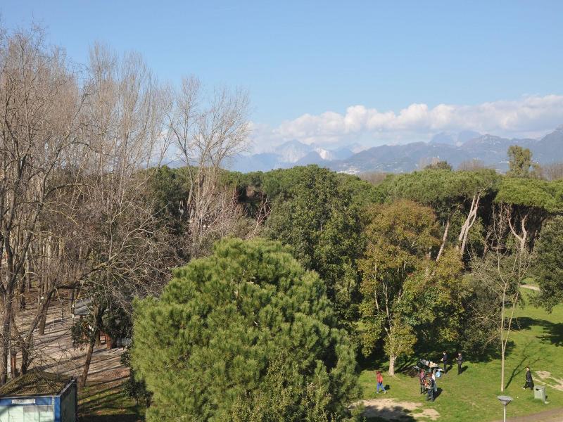 Vittoria image