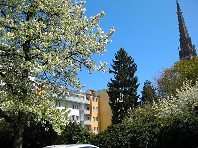 Dom image