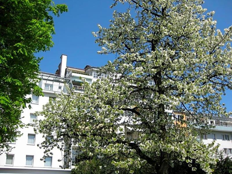 Dom image