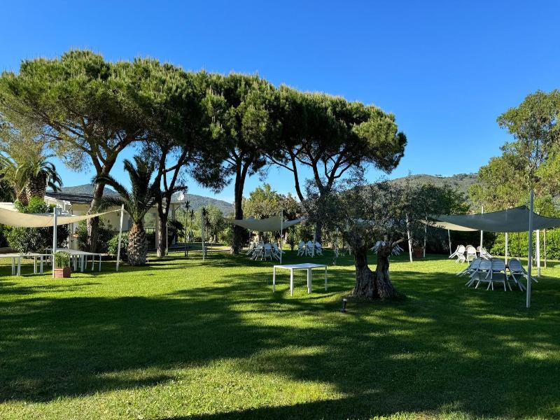 Dei Coralli image