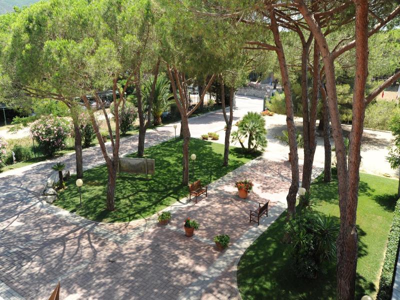 Dei Coralli image