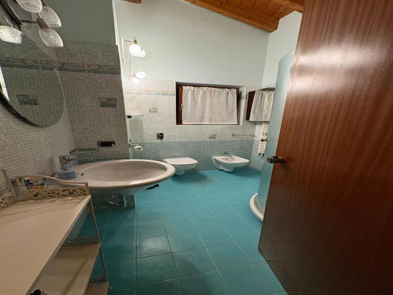 Adria image