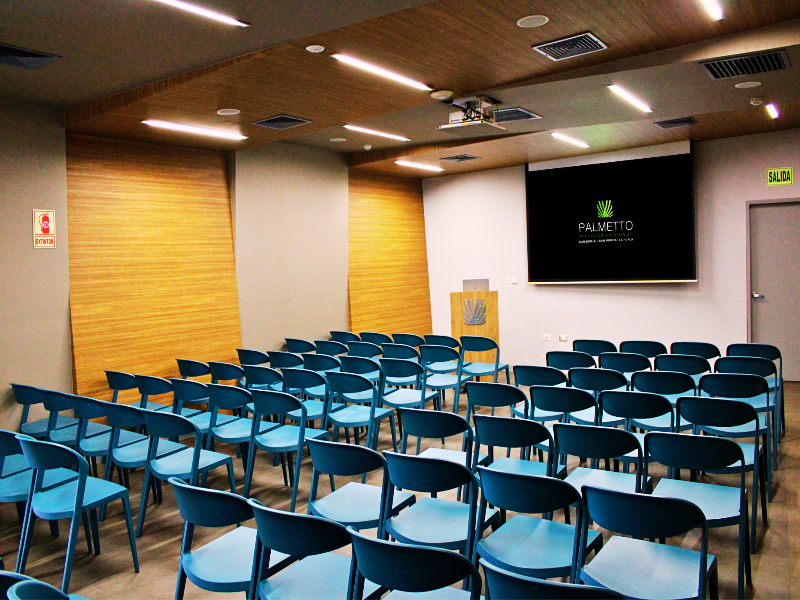 Palmetto Hotel Business San Borja image