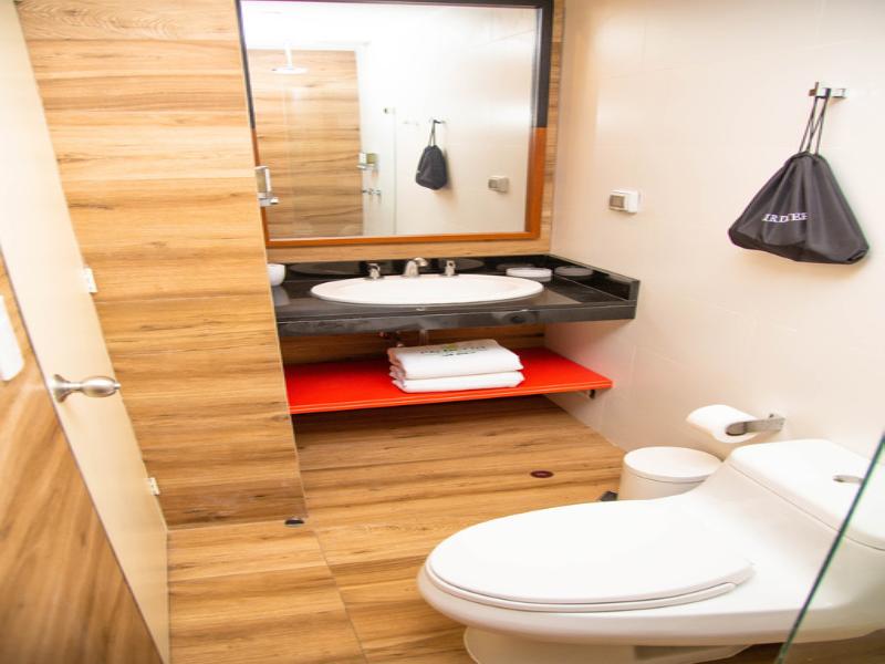 Palmetto Hotel Business San Borja image