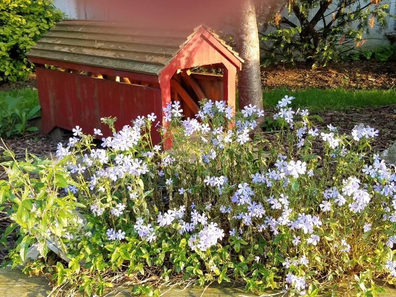 Osceola Mill House B&B image