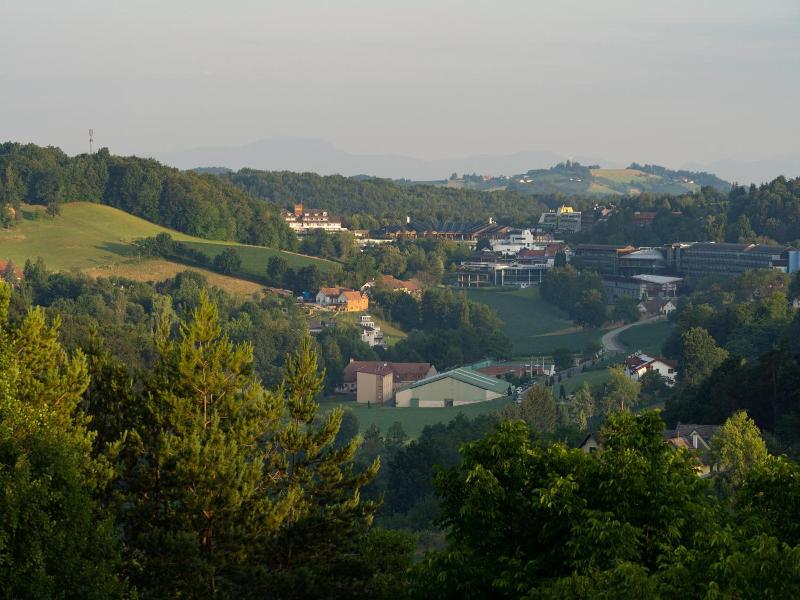 Oasis image