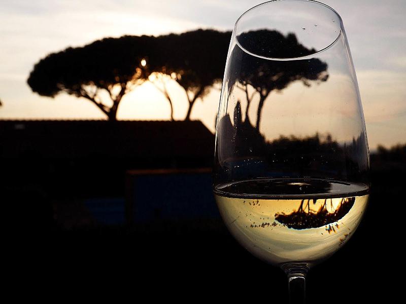 Podere San  Giuseppe image