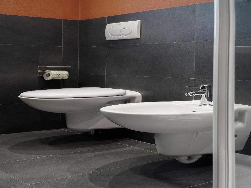 Best Western Hotel Arya image