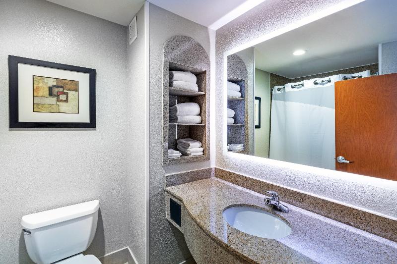 Holiday Inn Express Hotel & Suites Pryor photo 19