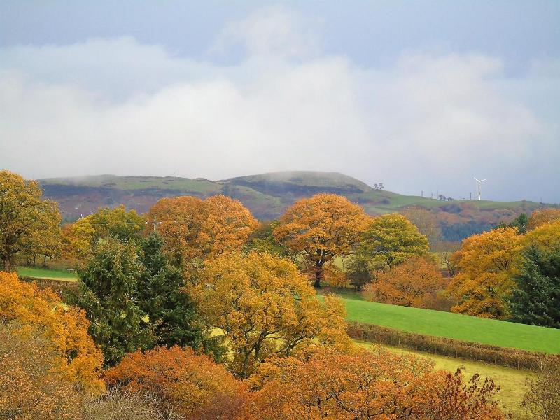 Pwllgwilym Holiday Cottages image