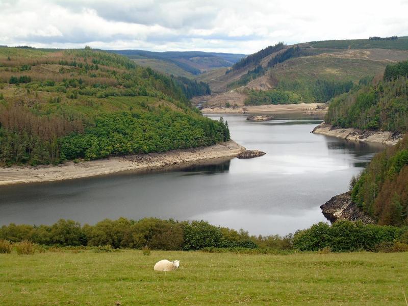 Pwllgwilym Holiday Cottages image
