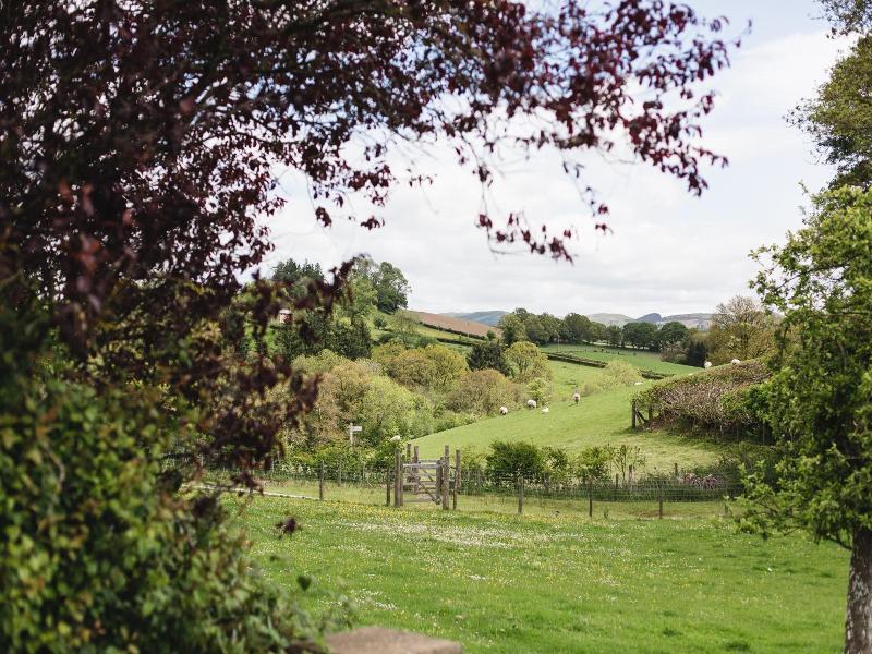 Pwllgwilym Holiday Cottages image